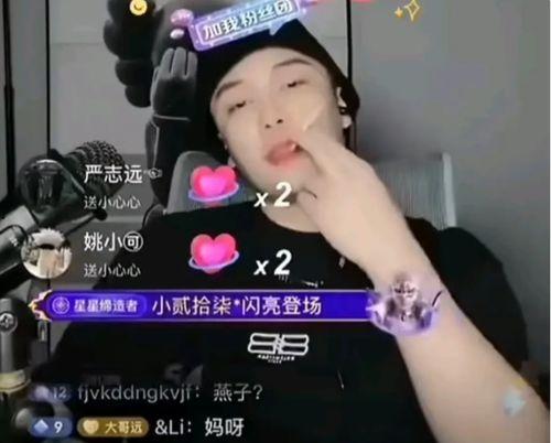 網(wǎng)紅黑料是什么意思,網(wǎng)絡(luò)輿論背后的真相與反思